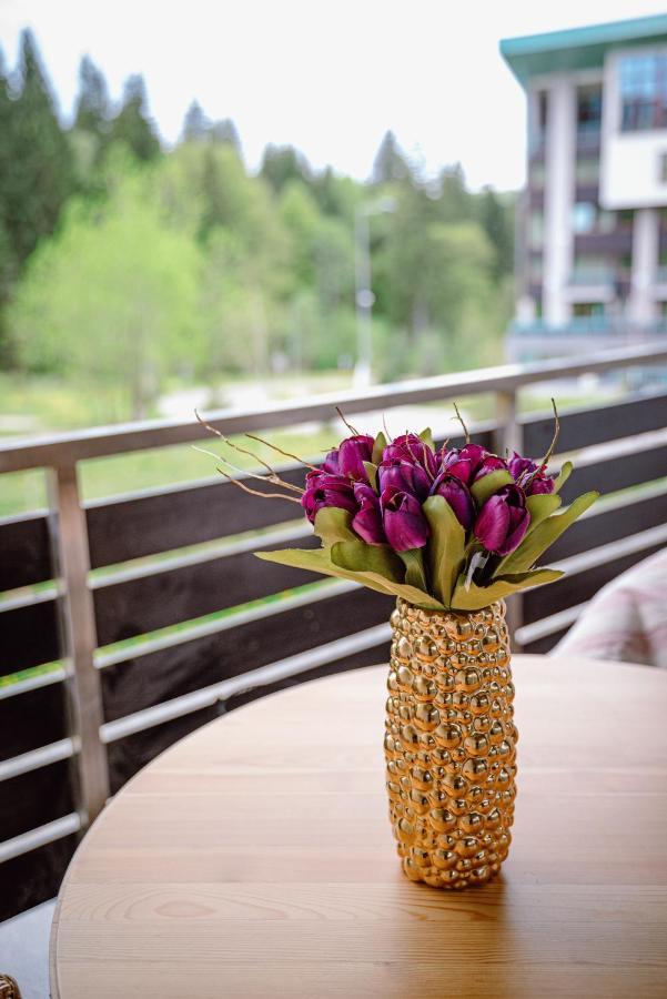 Silver Mountain Resort & Spa Пояна Брашов Екстериор снимка